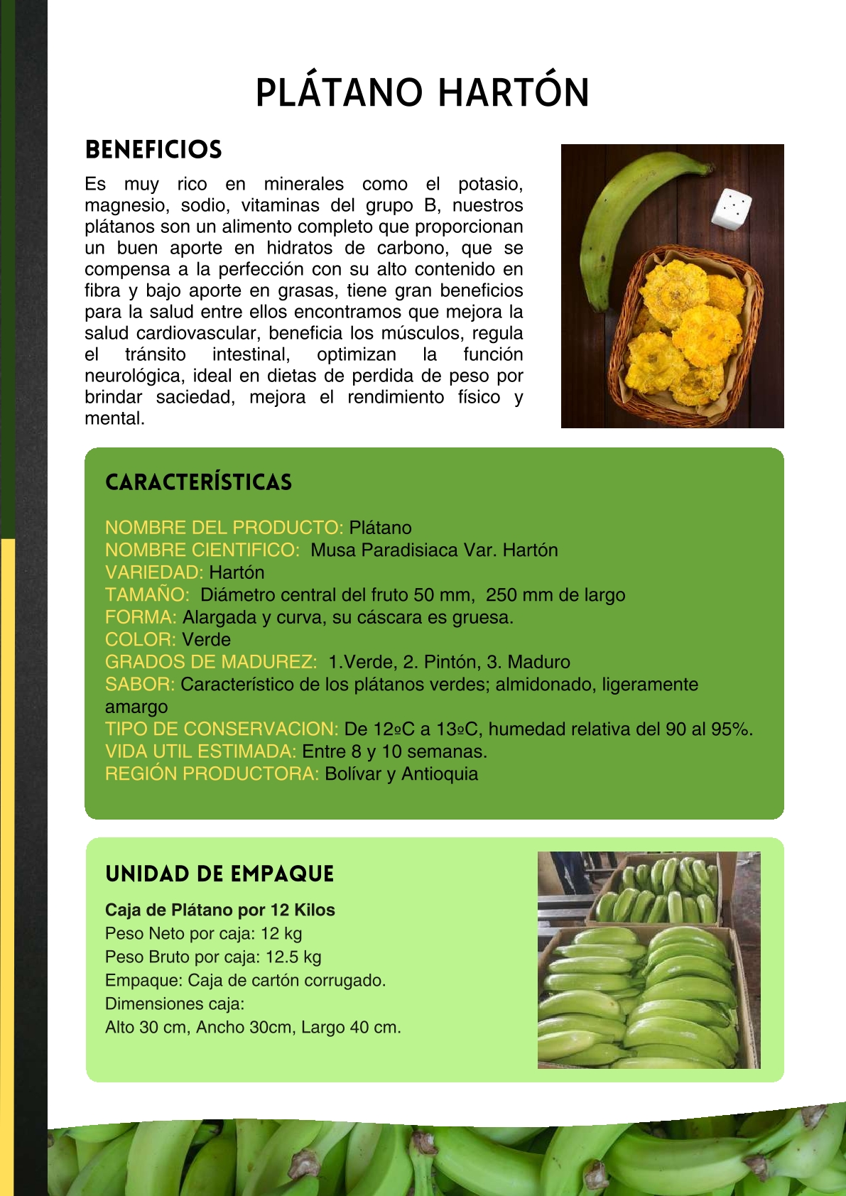 Ficha de Plátano hartón